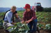 Hoe te beginnen een succesvolle landbouw-bedrijf