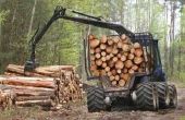 Verschillende soorten hout hout