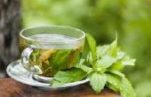 Groene thee dosering voor Weight Loss