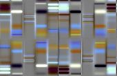 Geschiedenis van DNA Fingerprinting
