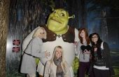 Zelfgemaakte Shrek kostuums