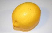 Hoe schil & sap van een citroen