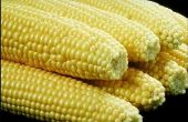 How to Make Plastic op basis van maïs