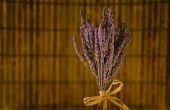 Hoe om te ontspannen met zuivere essentiële olie van lavendel