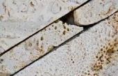 Verwijderen van schimmel vlekken uit kalksteen