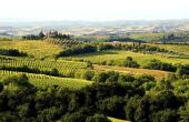 Interessante feiten over Toscane in Italië