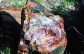How to Find Agate rotsen