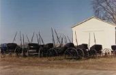 Wat zijn sommige Amish verkering praktijken?
