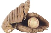 Hoe om te vormen van de beste zak voor een honkbal handschoen