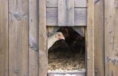 How to Build een veilige kippenhok