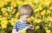 Veilige bloemen voor kinderen