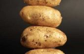 Hoe Fry Tilapia met aardappel vlokken