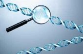 Een lijst van banen hebben te doen met DNA & de studie van DNA