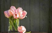 Wat te doen met hangende tulpen