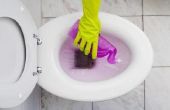 Hoe schoon de onderkant van een Toilet