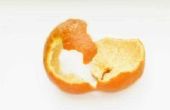 Hoe te eten van een sinaasappelschil