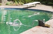 Een zwarte Tarp Over een zwembad kan ontdoen van algen?