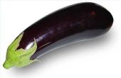De nutritionele voordelen van aubergine