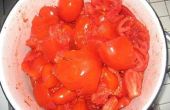 How to Make dikke tomatensaus van verse tomaten--A Beginner's Guide & foto 's