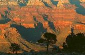 Hoe groot is de Grand Canyon?