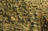 Wat Is het verschil tussen bodem & vuil?