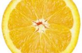 Hoe te dehydrateren sinaasappelen in een Food Dehydrator