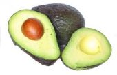 Verschillende soorten avocado 's