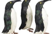 Patroon te maken van een gevulde pinguïn