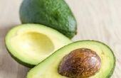 Waarom avocado's zijn slecht voor de vogels
