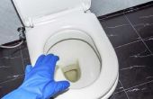 Hoe te verwijderen van menselijke Urine vlekken uit een wc-bril