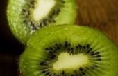 Dieren die graag Kiwi Fruit eten