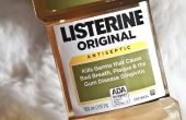 Hoe te spuiten Listerine & Water om zich te ontdoen van vlooien