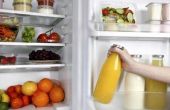 Welke oorzaken koelkasten te bevriezen Up?