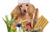 Hoe maak je vegetarisch Eigengemaakte Hondevoer
