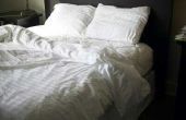 How to Get Rid van Bed Bugs veilig thuis