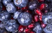 Gezondheid feiten over granaatappel bosbessensap