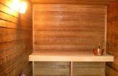Het gebruik van de sauna's aan Detox