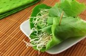 How to Make krokante rijstnoedels voor Sla Wraps