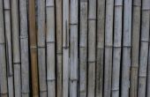 How to Make Bamboo Fencing