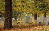 Subsidies voor de restauratie van de begraafplaats & behoud