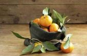 Hoe te bevriezen van mandarijn sinaasappelen