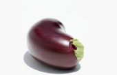 Hoe te bevriezen van ongekookt aubergine