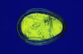 Hoe te identificeren Gel Blobs gevonden in vijvers