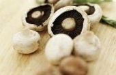 How to Stuff champignons met worst & roomkaas