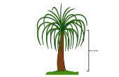 Hoe de zorg voor een paardenstaart palmboom