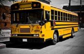 Wat zijn de voordelen van het rijden van een Bus van de School?