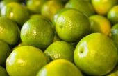 Hoe bewaart u Best Limes