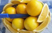 Limonade Colon Cleanse recept