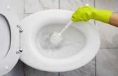 Hoe schoon Toilet Bowl Ring vlekken met behulp van natuurlijke ingrediënten