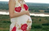 Zwangerschaps-en bevallingsverlof & terug aan het werk van wetten